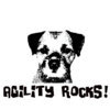 agility rocks