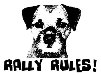 Rally rules